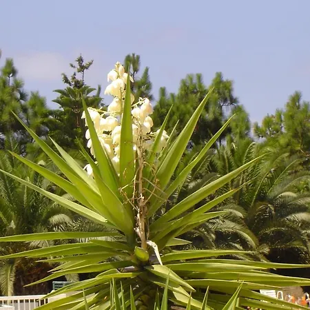 Ikaria Village 201 *