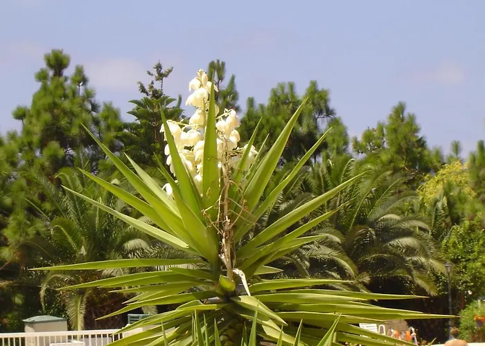 Ikaria Village 201 *